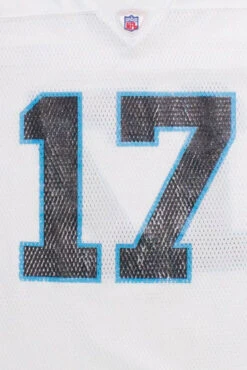 Carolina Panthers Delhomme (#17) Jersey (2000s)