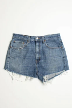 Levi's Vintage Denim Cutoff Shorts -US Vintage Clothing Sales vintage shorts 1099 1 scaled 63745.1666806942