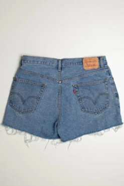 Vintage Levi's Short