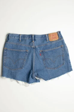 Vintage Levi's Short 19