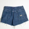 Vintage Wrangler Short 21