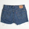 Vintage Levi's Short 13