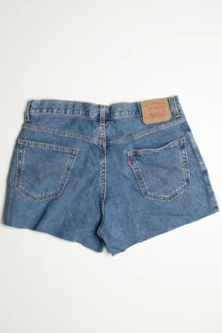 Vintage Levi's Short 15