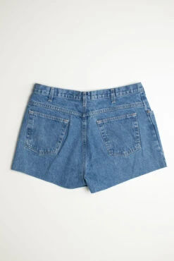 Vintage Faded Glory Short 1