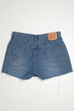 Vintage Levi's Short 20