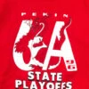 Vintage Pekin Dragons State Playoffs Sweatshirt (1996)