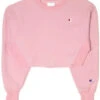 Vintage Champion Reverse Weave Raw Hem Cropped Sweatshirt